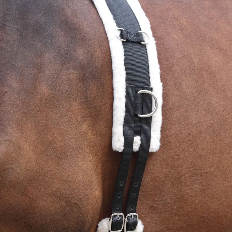 Shires Fleece Lined Training Surcingle 1