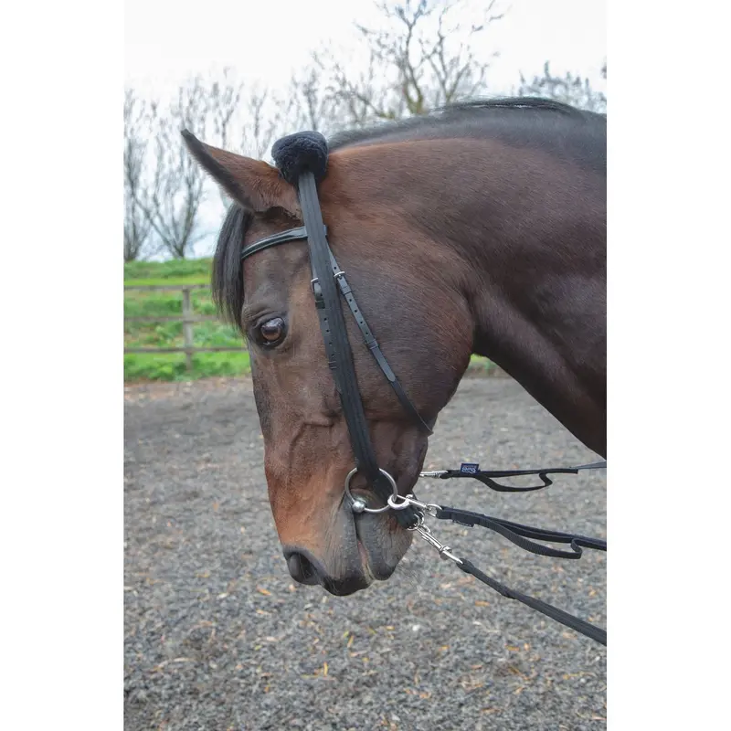 Shires Lunging Adapter 1