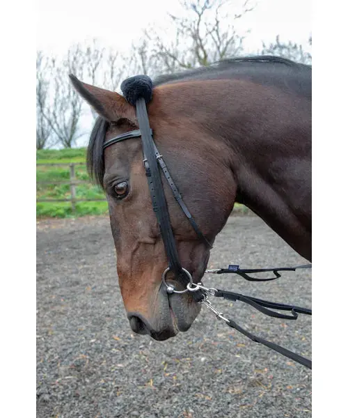 Shires Lunging Adaptor One Size 1