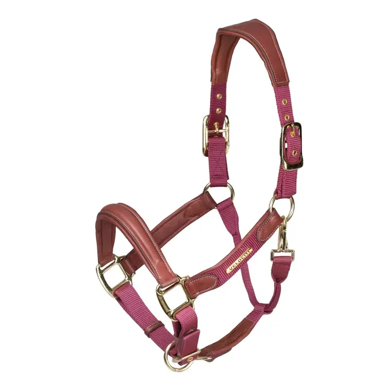 Shires Lusso Padded Leather Breakaway Halter 4