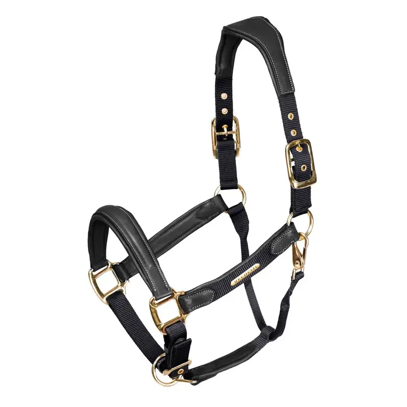Shires Lusso Padded Leather Breakaway Halter 4