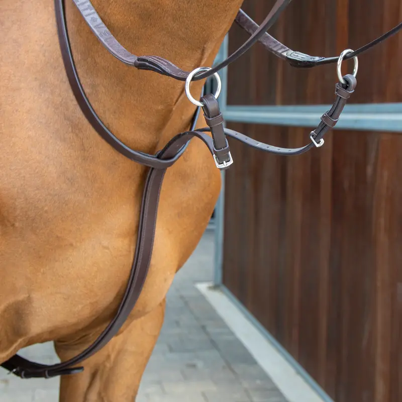 Shires Lusso Running Martingale – Discounted Equestrian Training Aid