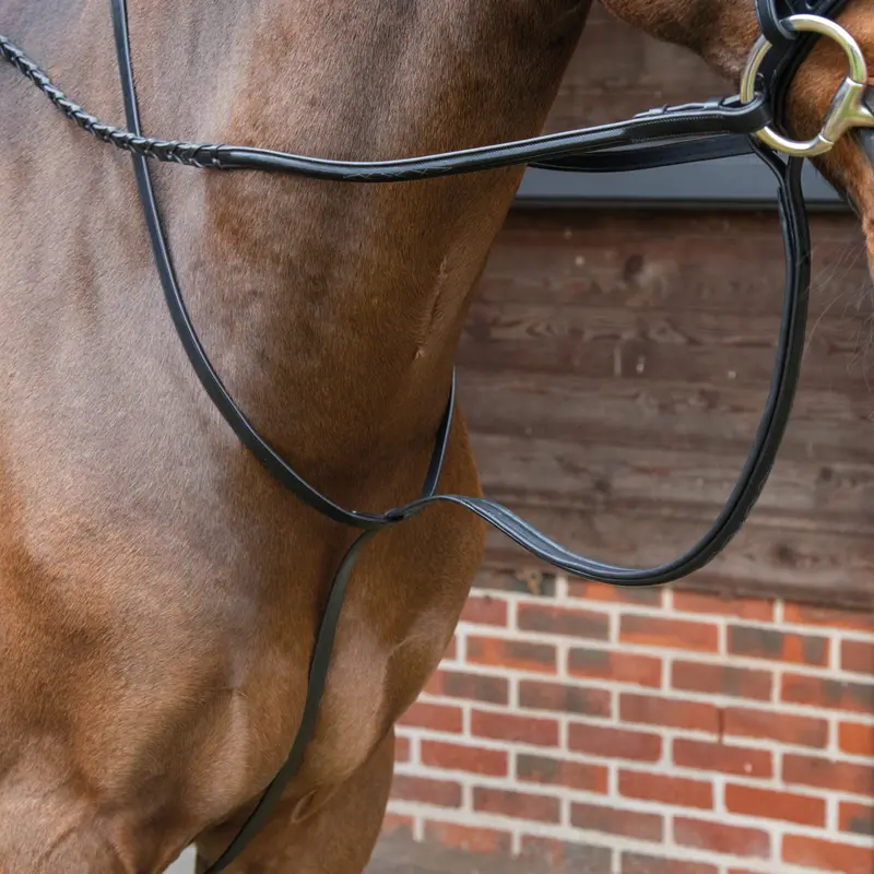 Shires Lusso Standing Martingale for Show & Training