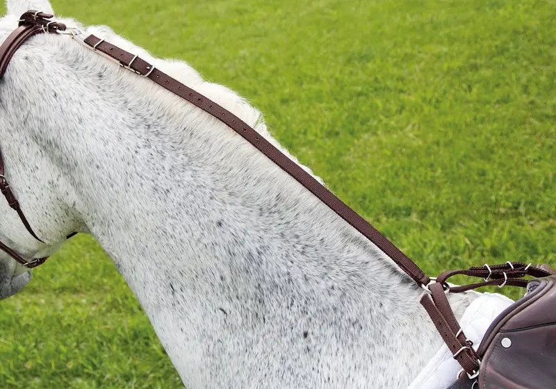 Shires Nylon Daisy Rein 1