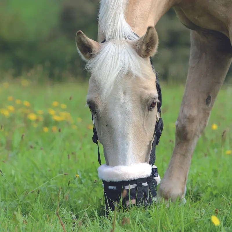 Shires Nylon Deluxe Grazing Muzzle 2