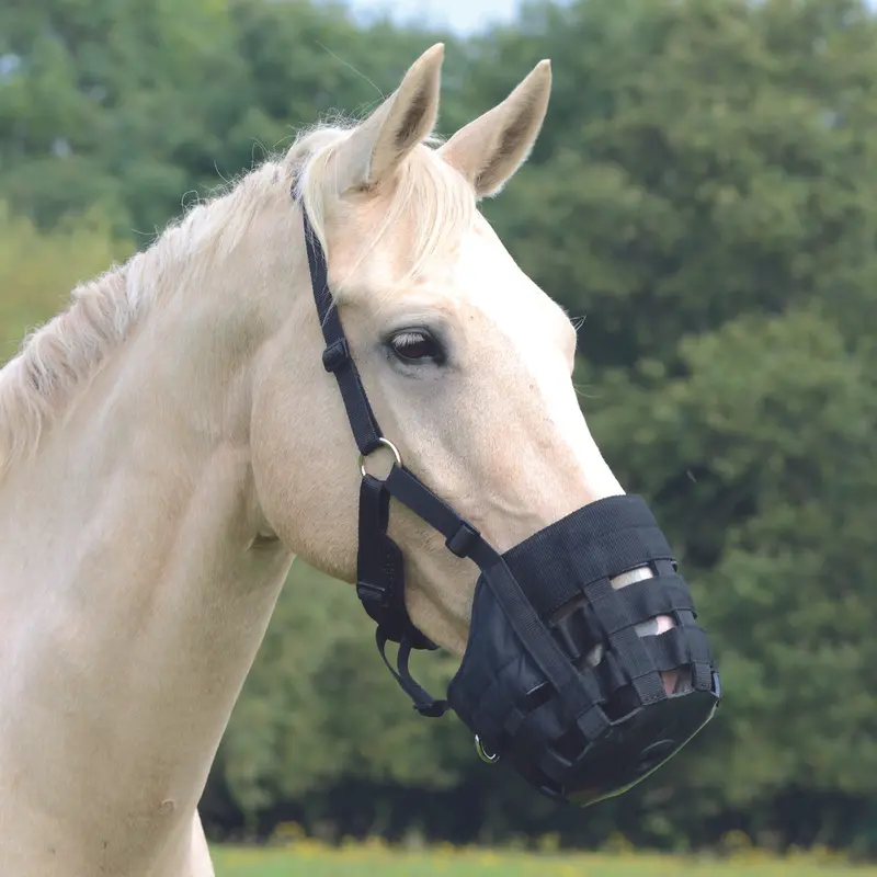 Shires Nylon Grazing Muzzle 1