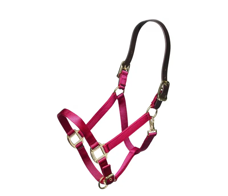 Shires Nylon Halter With Leather Crown 5
