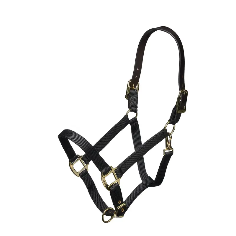 Shires Nylon Halter With Leather Head Strap 1