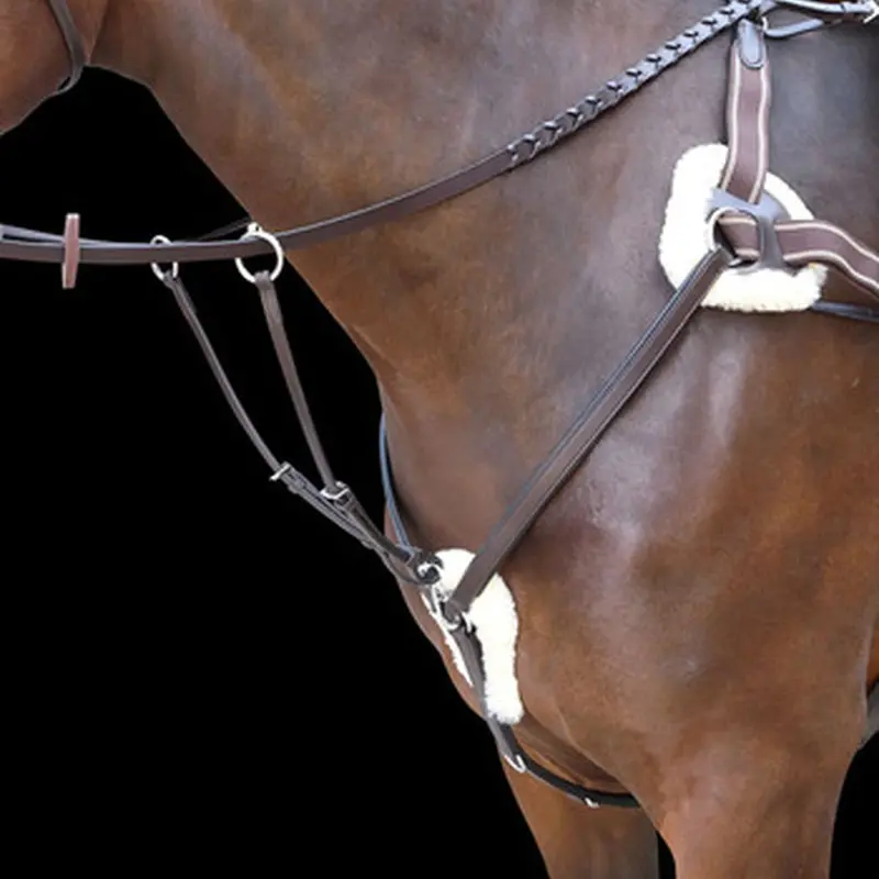 Shires Rossano 5 Point Leather Breastplate 1