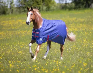 Shires Tempest Original Air Motion Turnout Rug 1