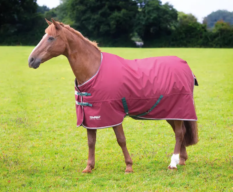 Shires Tempest Original Turnout (200G) Blanket 1