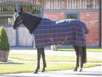 Shires Tempest Plus 100G Stable Blanket 1