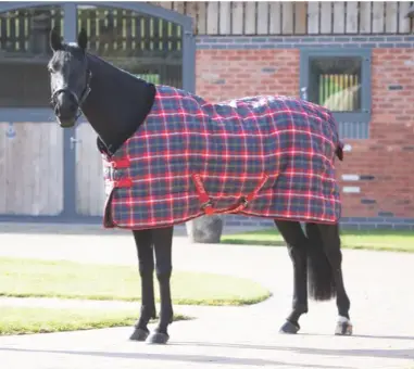 Shires Tempest Plus 200G Stable Blanket 1