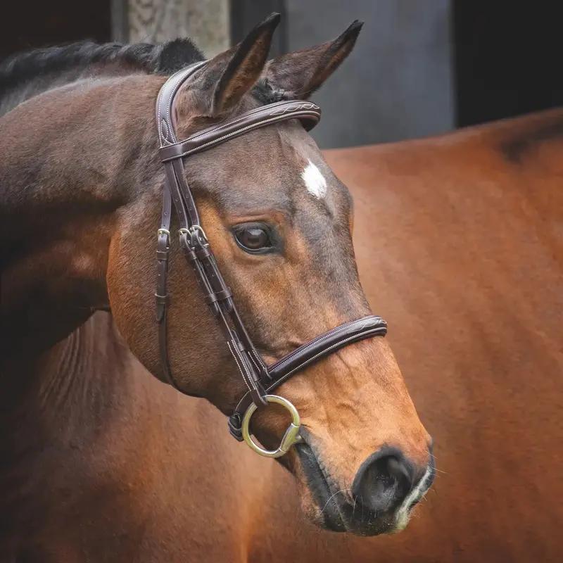 Shires Velociti Lusso Hunter Bridle 1