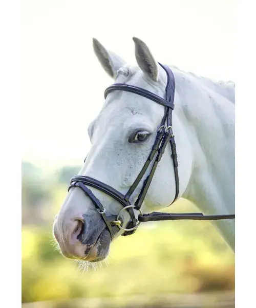 Shires Velociti Padded Raised Flash Bridle 2