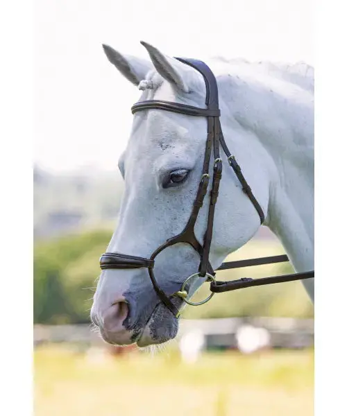 Shires Velociti Rolled Padded Cavesson Bridle 1