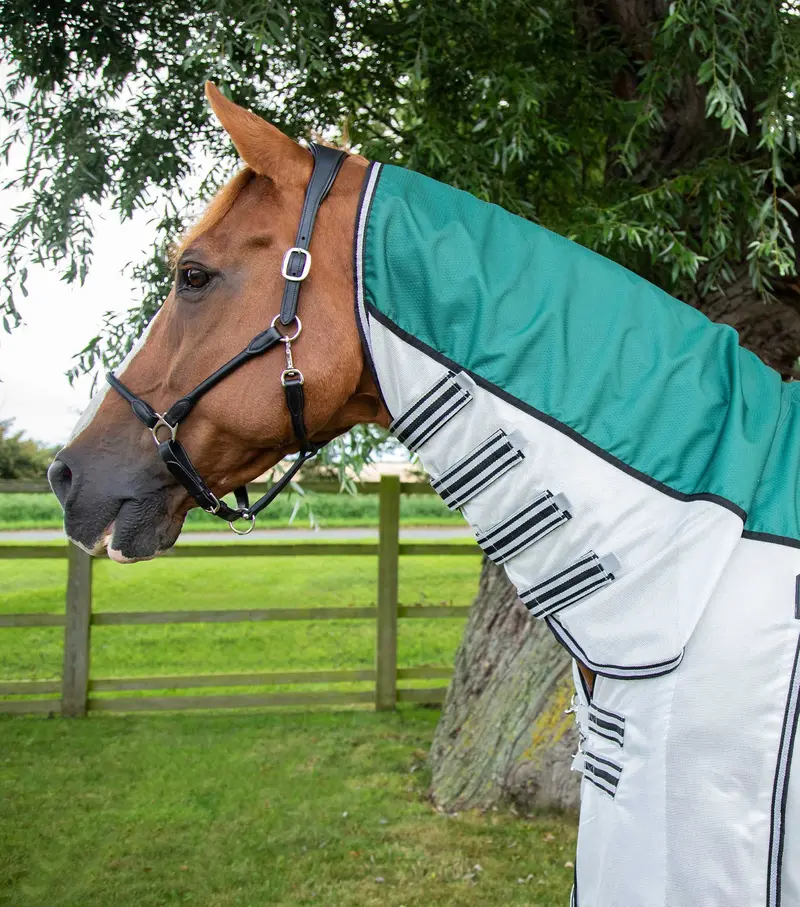 Showertex Fly Rug With Surcingles Green 2