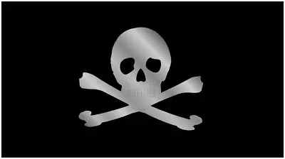 Skull & Crossbones Lazer-Tag Acrylic License Plate (Black) 1