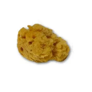 Small Natural Tack Sponge 1