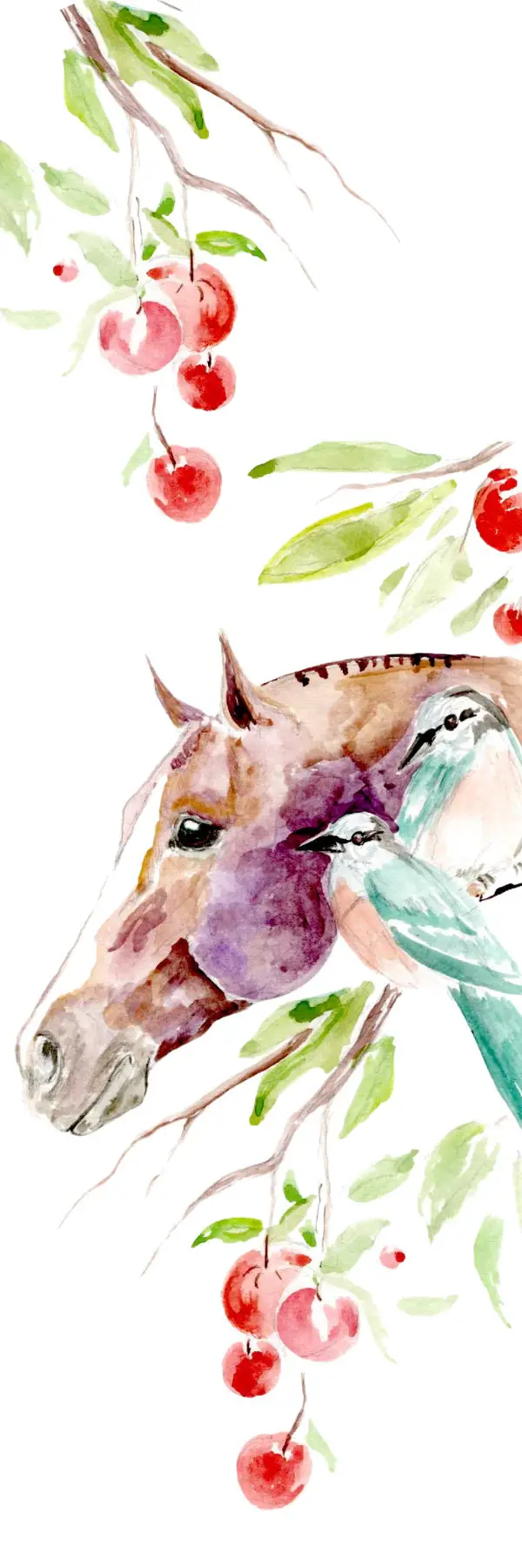 Sonaequestrian Bookmark 6