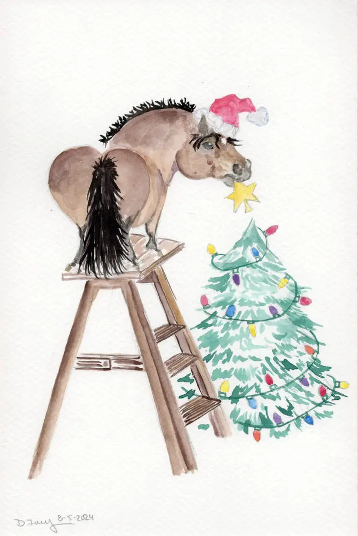 Sonaequestrian Holiday Greeting Card 10 Pack 13