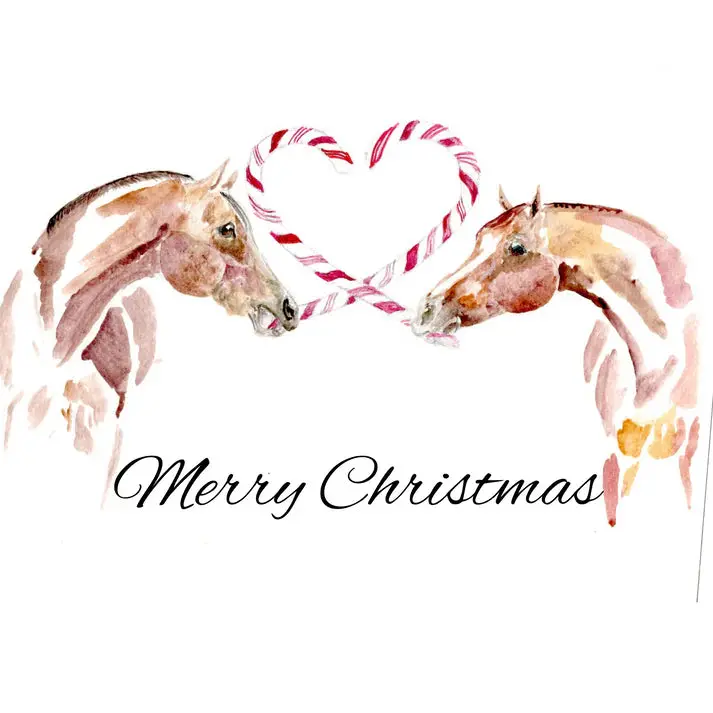 Sonaequestrian Holiday Greeting Card 10 Pack 5