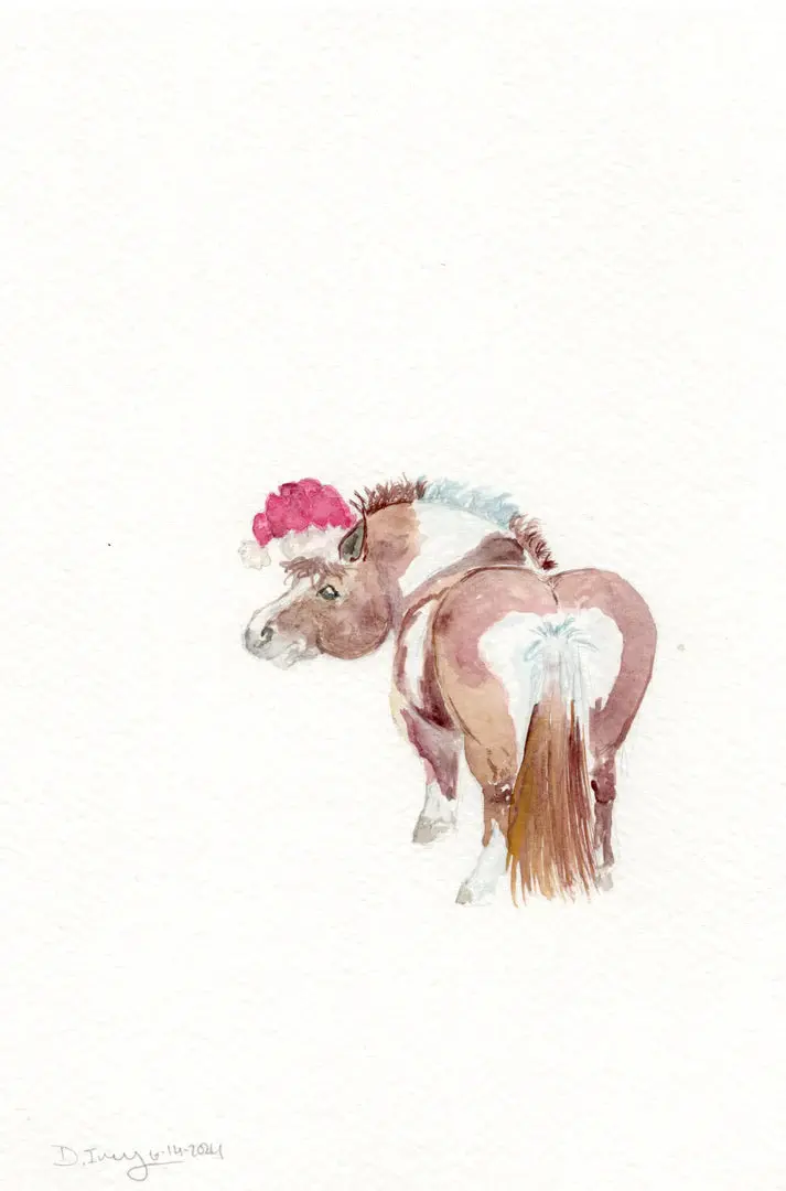 Sonaequestrian Holiday Greeting Card 10 Pack 9