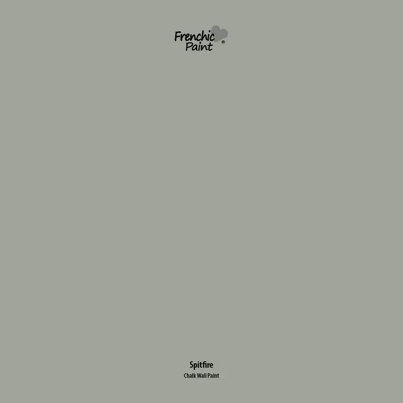 Spitfire - Peel & Stick Paint Sample 1