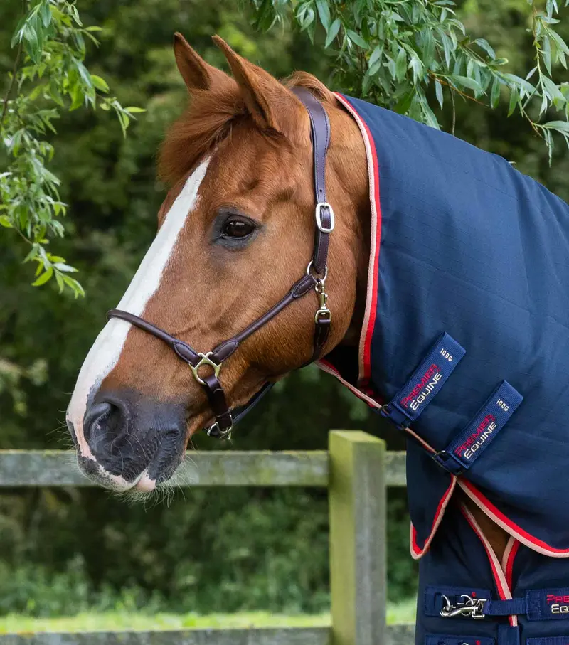 Stable Buster 100G Stable Rug Neck Cover (100G Fill) 1