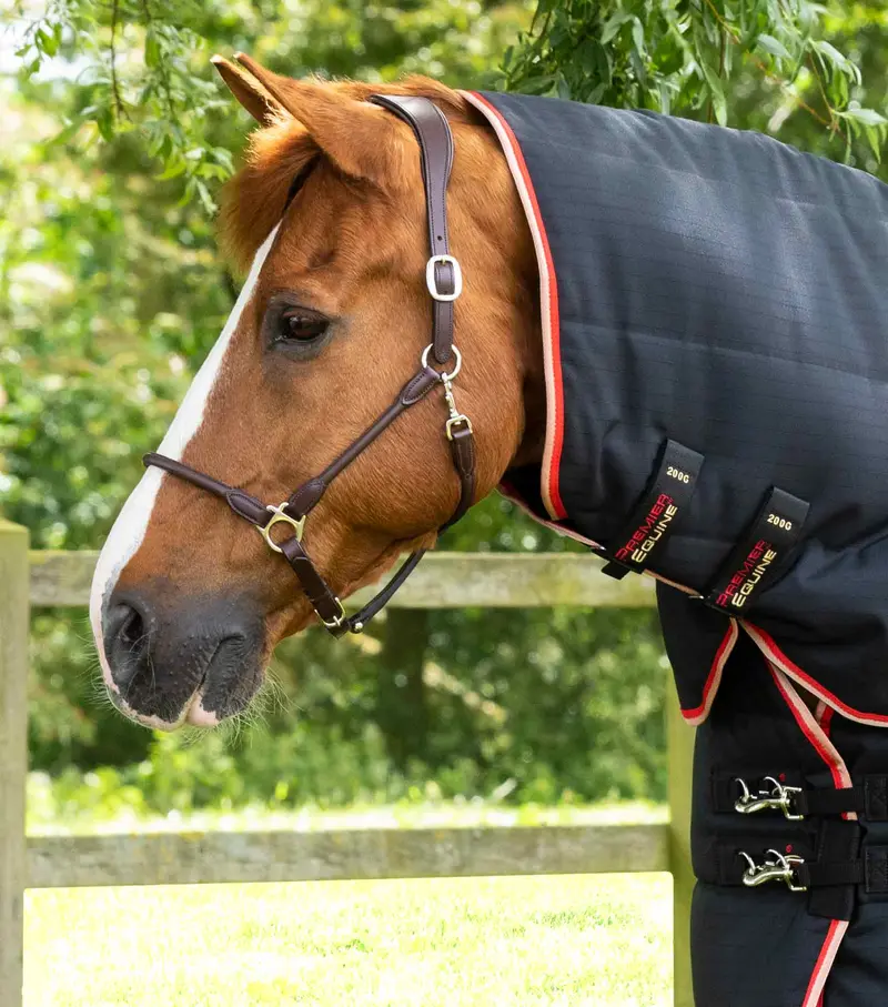 Stable Buster 200G Stable Rug With Neck Cover Black 2