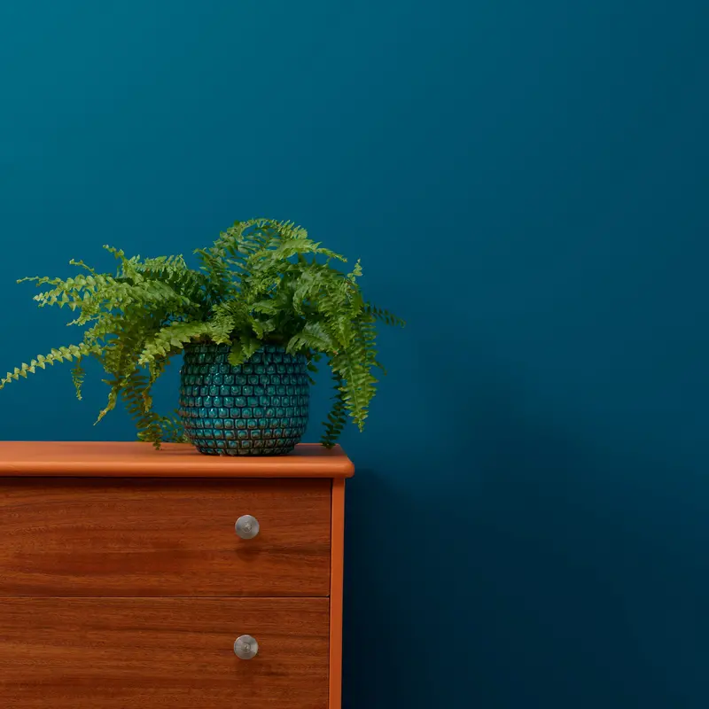 Steel Teal Trim Paint 2