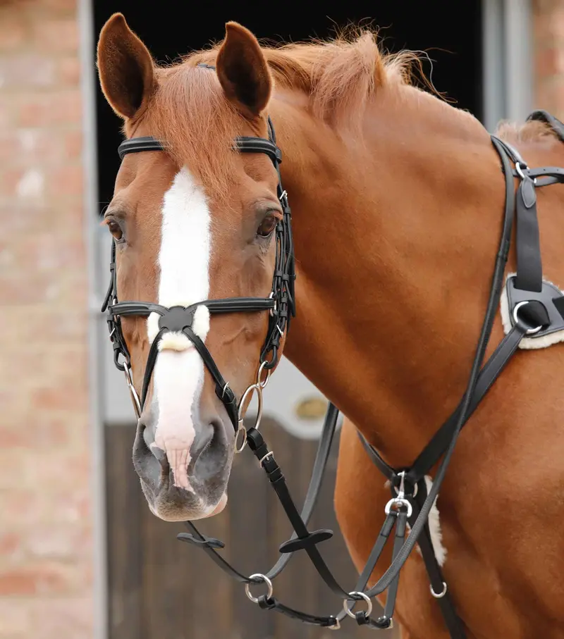 Stefano Rubber Reins Black 2