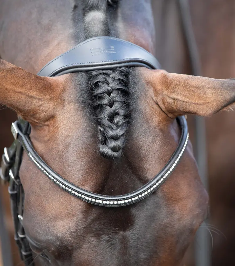 Stellazio Anatomic Snaffle Bridle With Flash Black 2