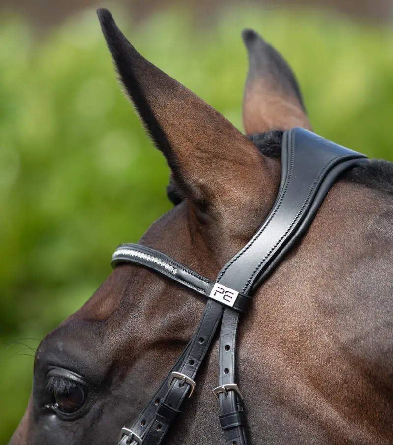 Stellazio Anatomic Snaffle Bridle With Flash Black 3