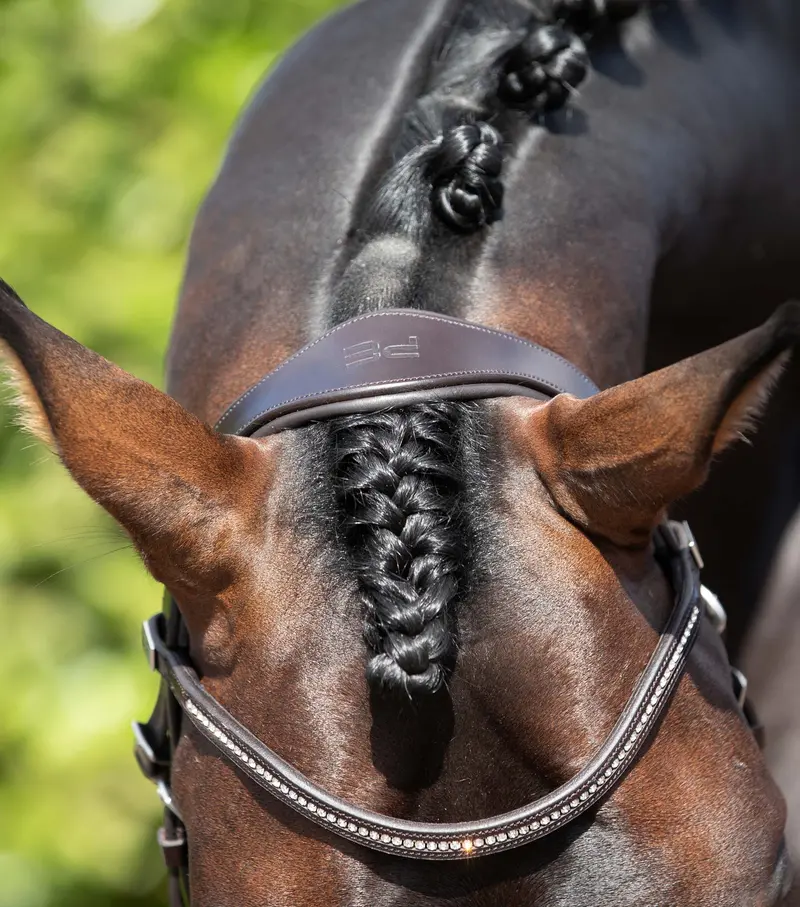 Stellazio Anatomic Snaffle Bridle With Flash Brown 2
