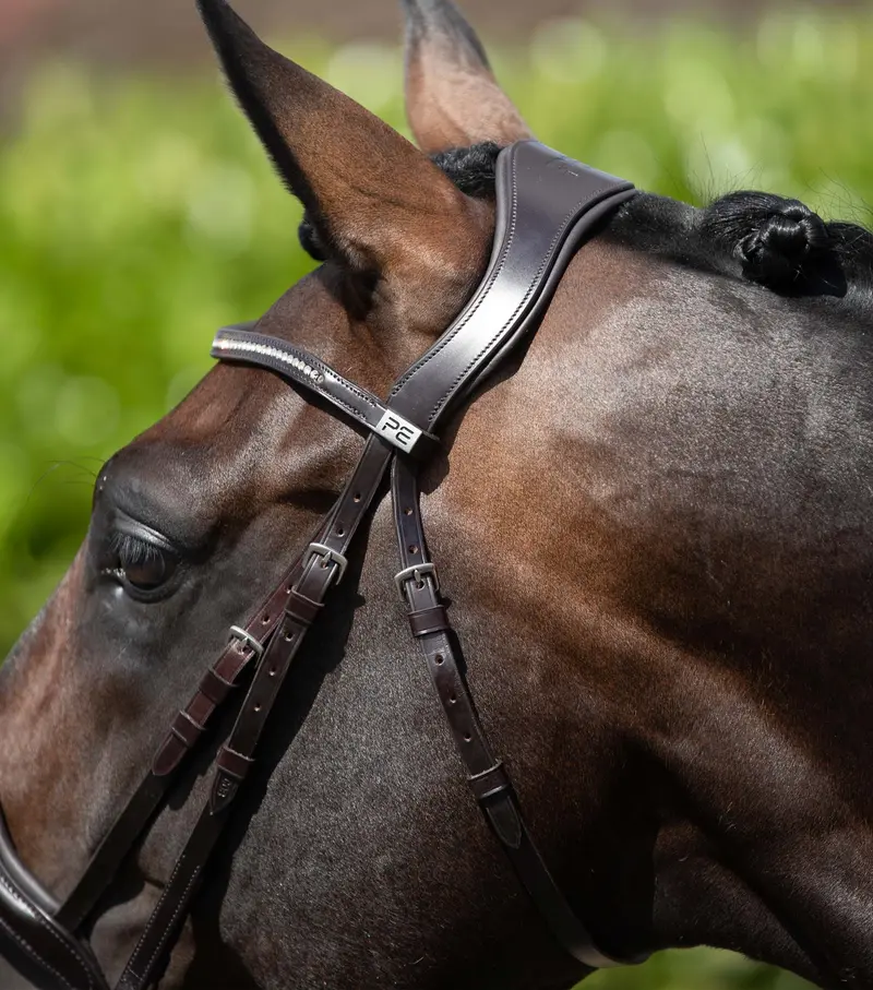 Stellazio Anatomic Snaffle Bridle With Flash Brown 3