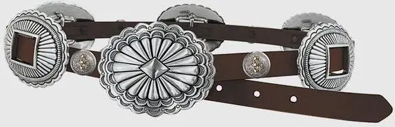 Stetson Women's Dark Brown With Silver Slider Conchos Belt 1