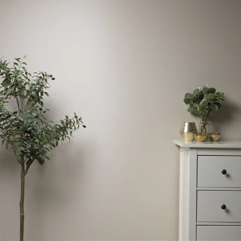 Stone Rosie Wall Paint 2