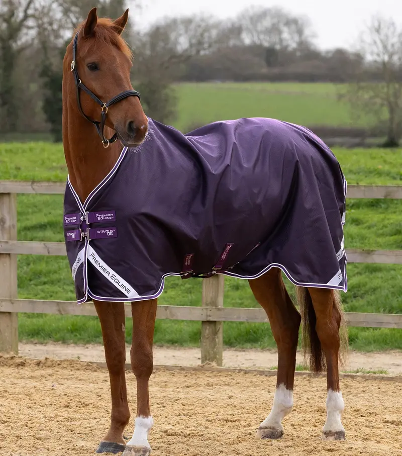 Stratus 600D Series 0G Original Turnout Rug Purple 1