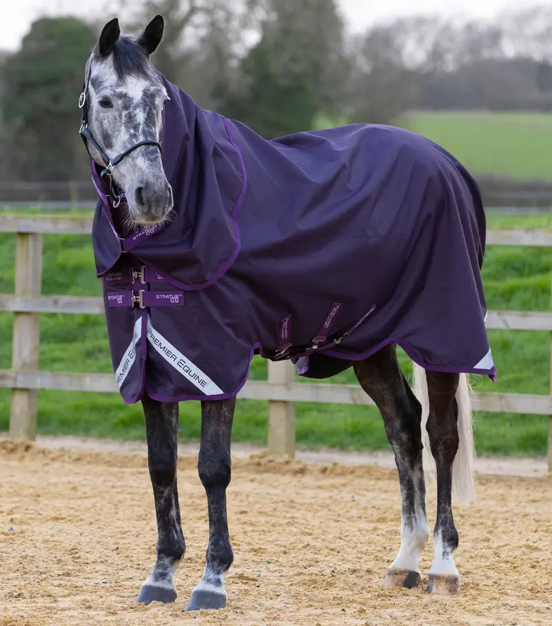 Stratus 600D Series 0G Turnout Rug With Classic Neck Cover Purple 1