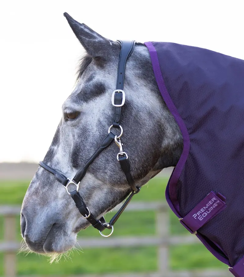 Stratus 600D Series 0G Turnout Rug With Classic Neck Cover Purple 2