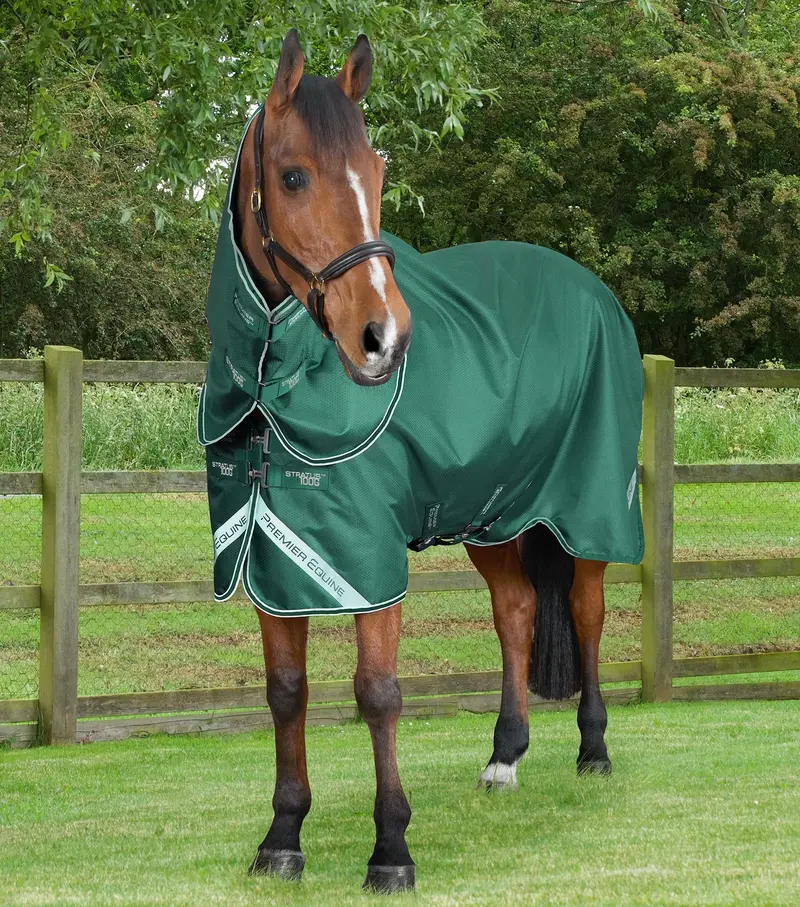 Stratus 600D Series 100G Turnout Rug With Classic Neck Cover Green 1