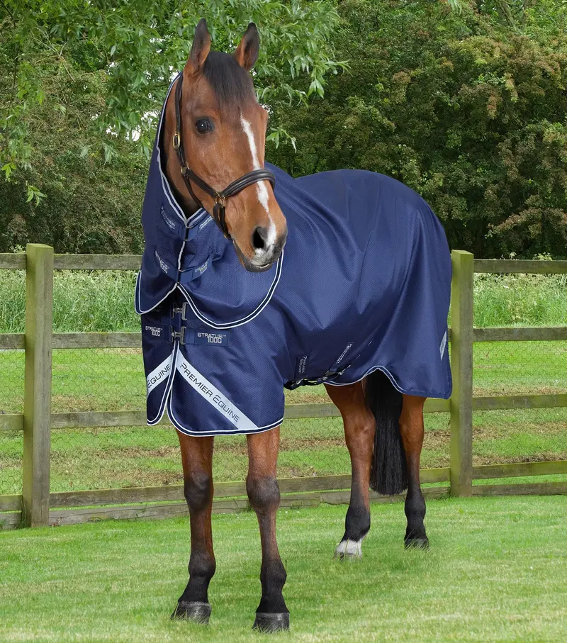 Stratus 600D Series 100G Turnout Rug With Classic Neck Cover Navy 1