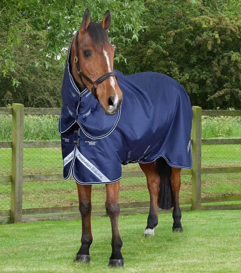 Stratus 600D Series 200G Turnout Rug With Classic Neck Cover Navy 1