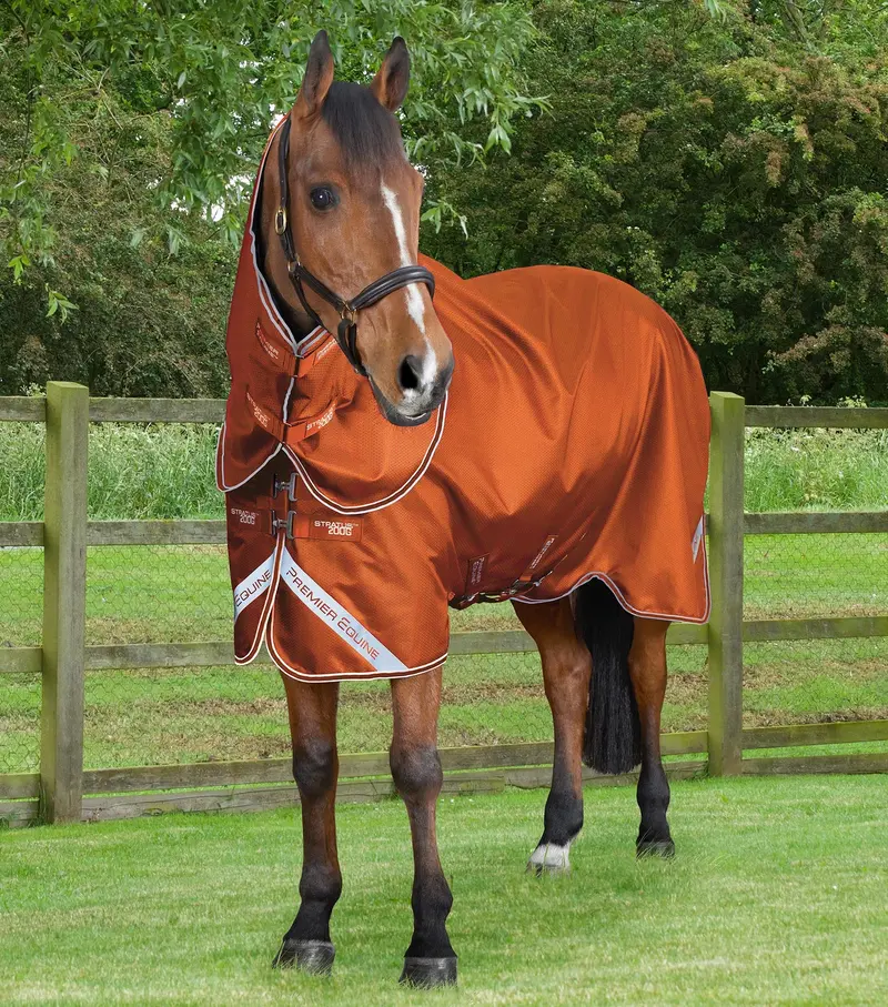 Stratus 600D Series 200G Turnout Rug With Classic Neck Cover Orange 1