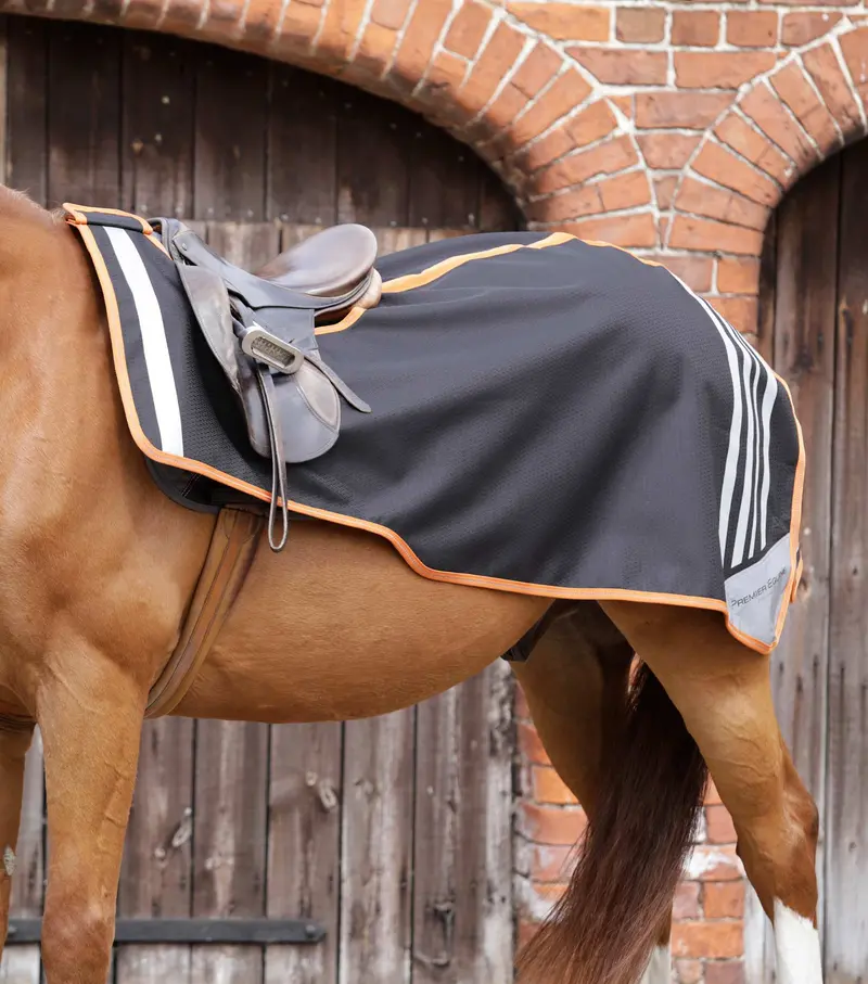 Stratus Horse Exercise Sheet Black 1