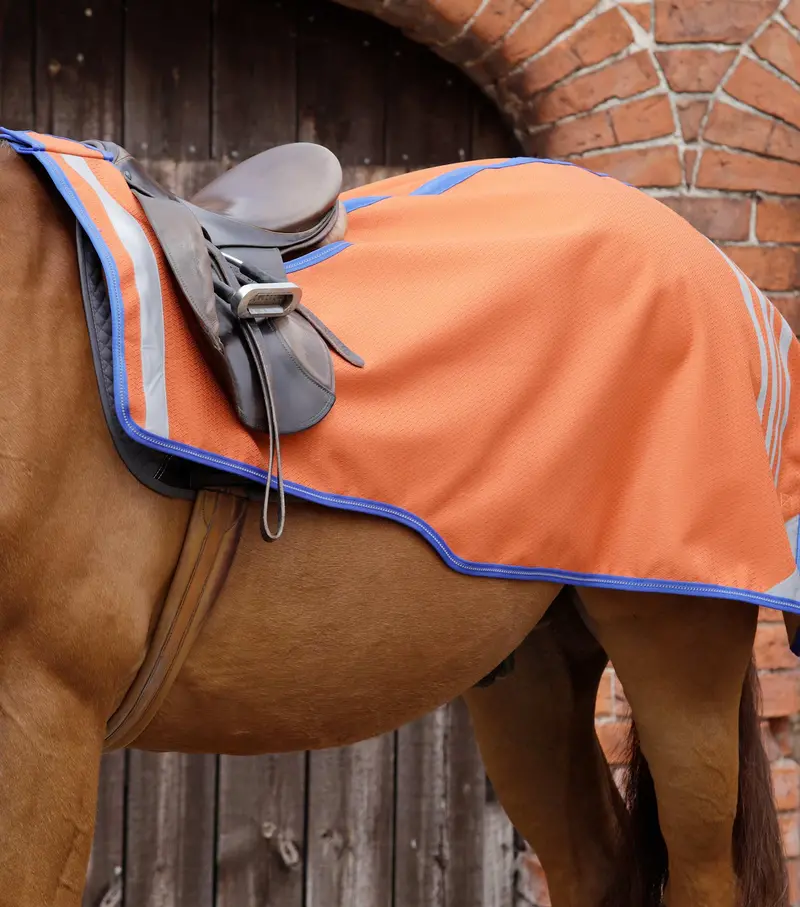 Stratus Horse Exercise Sheet Orange 1
