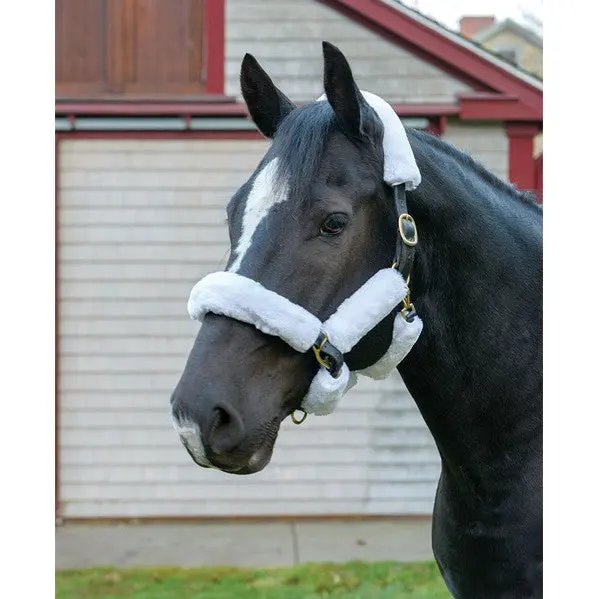 Supafleece Halter Fleece - 9 Piece 1