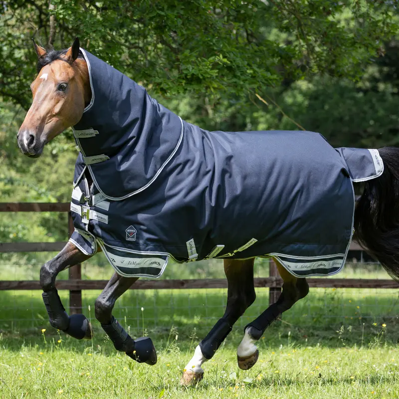 Super Sale Lemieux Arika Storm-Tek Blanket - Medium 200G 1