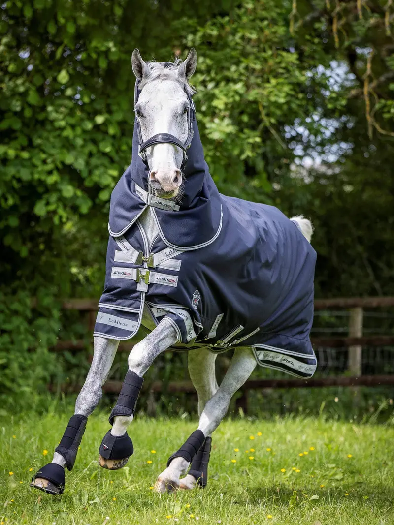 Super Sale Lemieux Arika Storm-Tek Blanket - Medium 200G 2